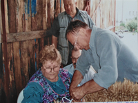 Tradycyjne przygotowywanie wieńca dożynkowego