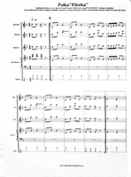 Polka "Pilotka"